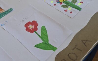 Obilježavanje Noći knjige u PŠ Batina