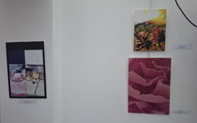 Sudjelovanje na izložbi darovitih učenika u Osijeku